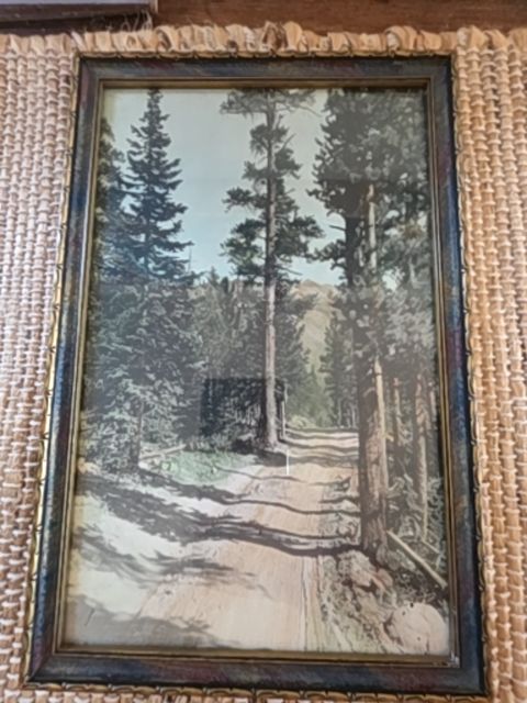11.5" x 7.5"  Antique hand tinted photo