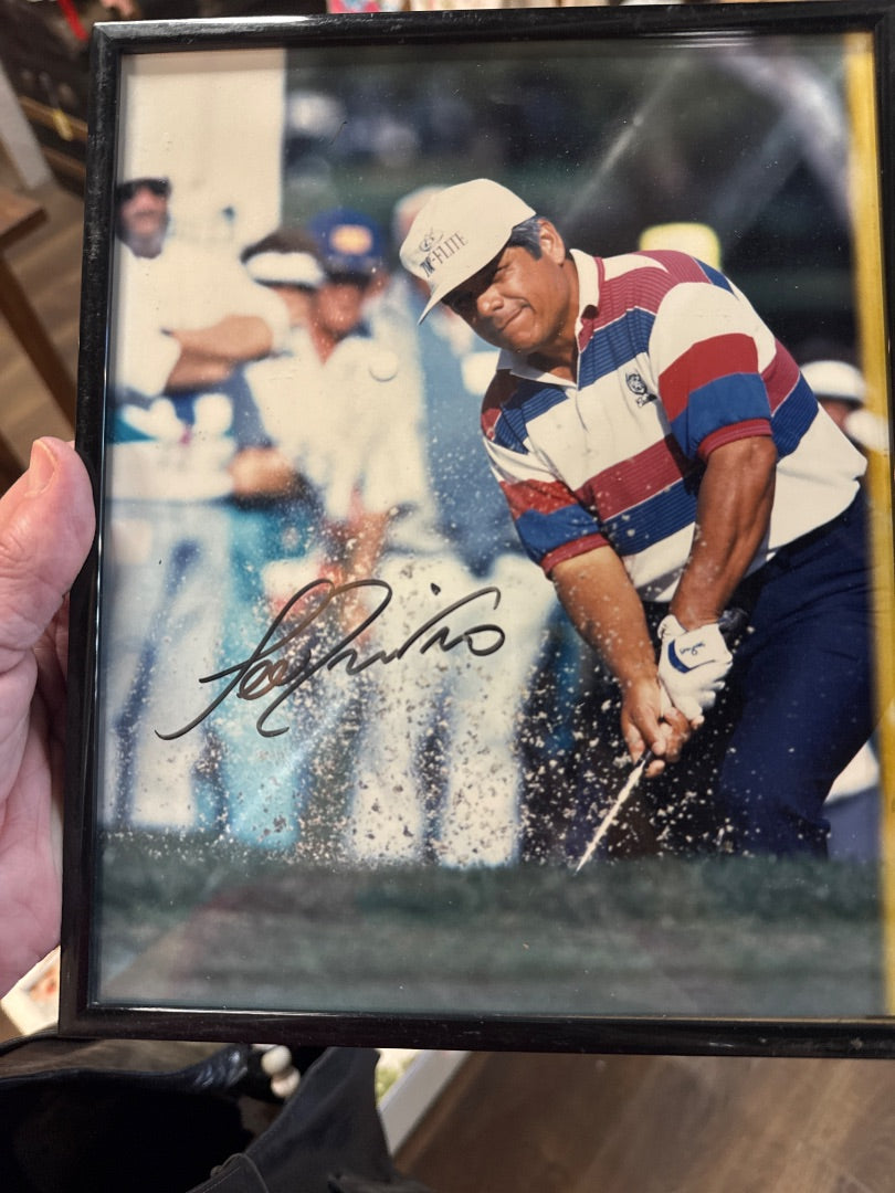 Lee Travino photo