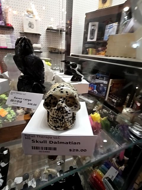 Skull Dalmatian Jasper