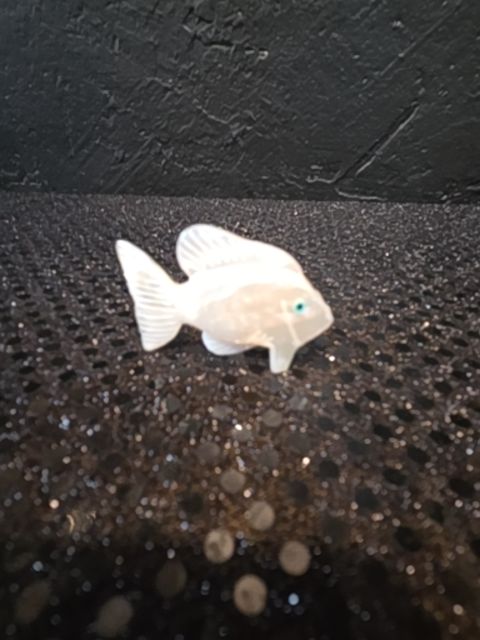 2R607 M.O.P. Zuni Fish
