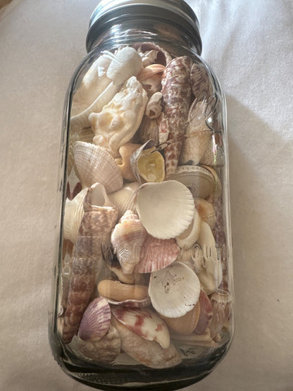 Shells in ball glass