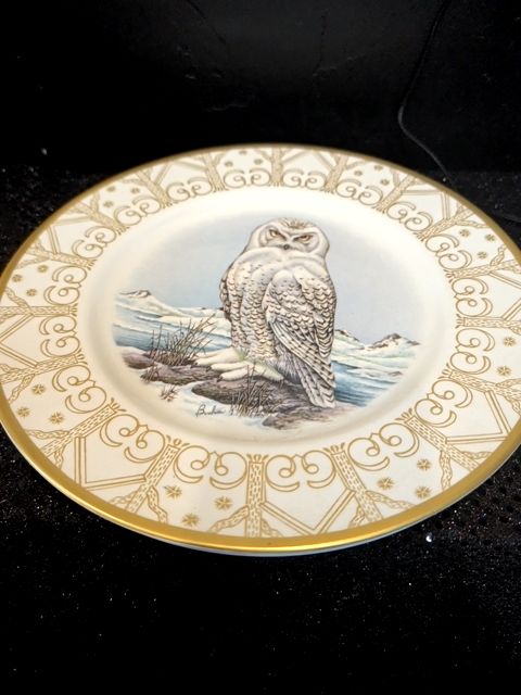 The Marshall Boehm Owl Place Collection Set of 8