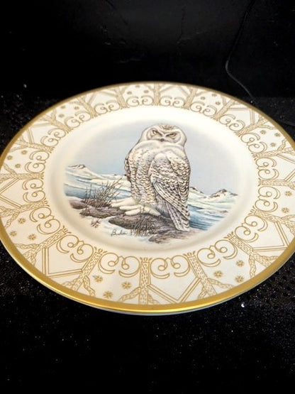 The Marshall Boehm Owl Place Collection Set of 8