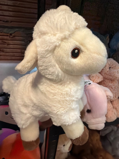 Eco-Nation Aurora “Lolly” Lamb