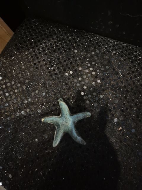 Metal Starfish, 2.25"