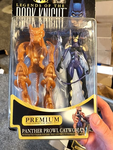 Legends of the dark Knight Panther Prowl catwoman