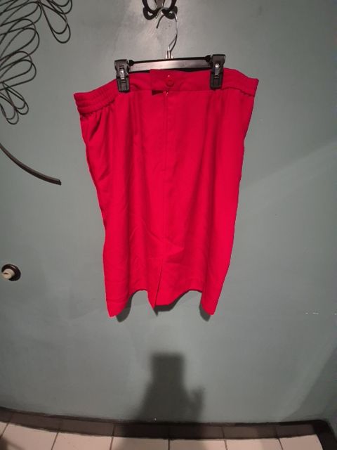 Red  Mid Length Skirt, 18