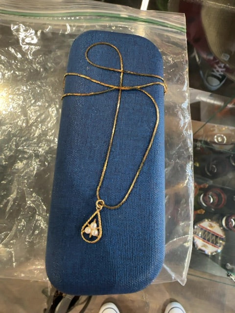 Gold Chain and Charm