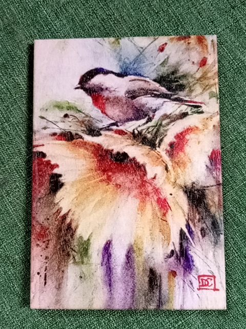Multicolor DaydreamHQ Bird wood postcard