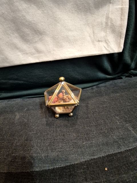 Vintage brass and glass terrarium