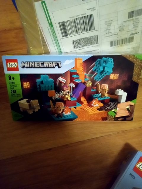 New LEGO Minecraft 21168