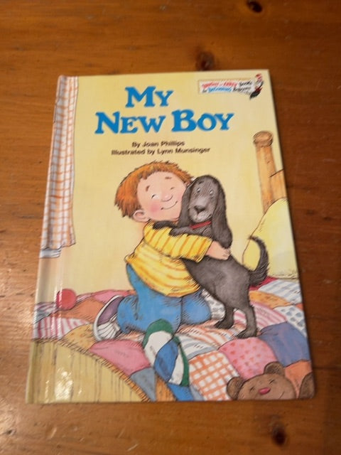 My New Boy - book