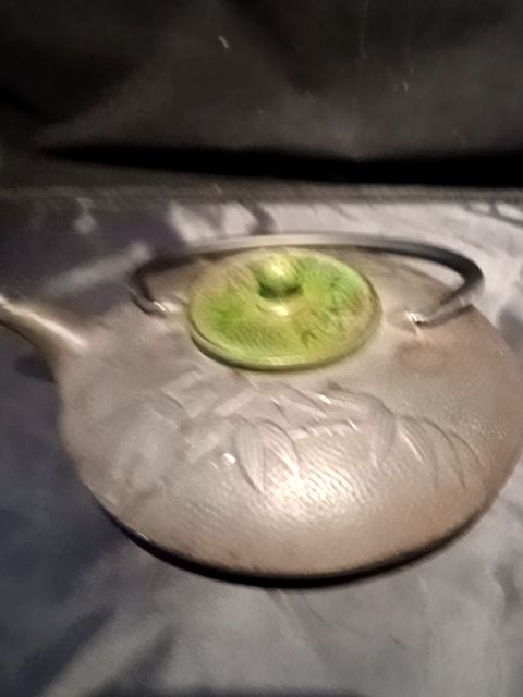Asian cast iron tea pot pre owned
