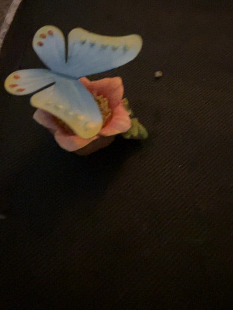 Butterfly trinket box