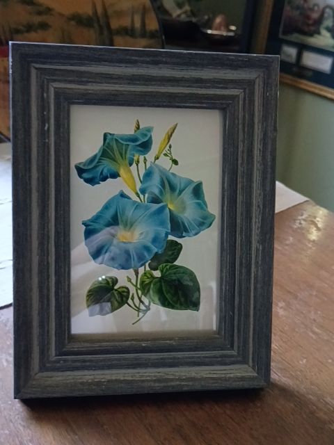 Wood Framed blue floral vine, 6.5" x 8.5