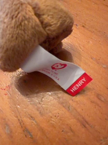 Beanie baby Henry the Kodiak Bear. With tag.