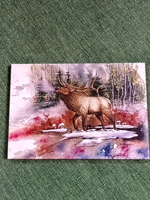 Multicolor DaydreamHQ Stag wood postcard