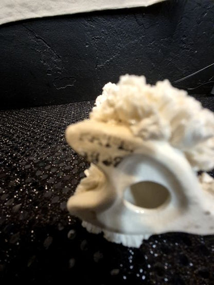 White Vintage Porcelain Spagetti Poodle, 2.5" × 2.5" × 3.25"