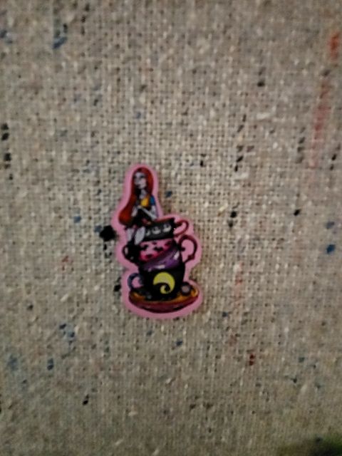 Assorted Acrylic Pins