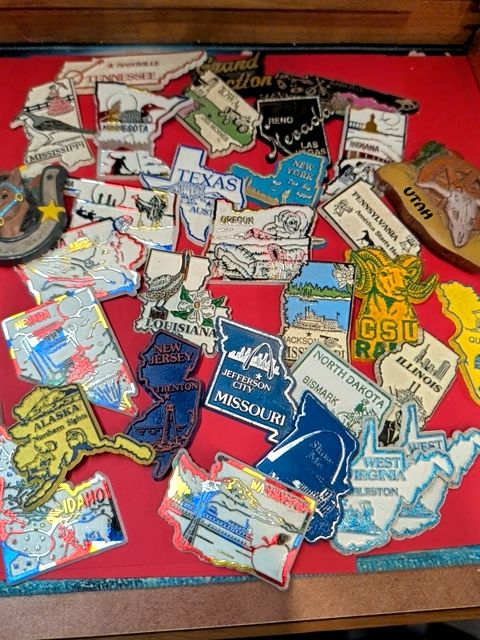 Assorted State Magnet