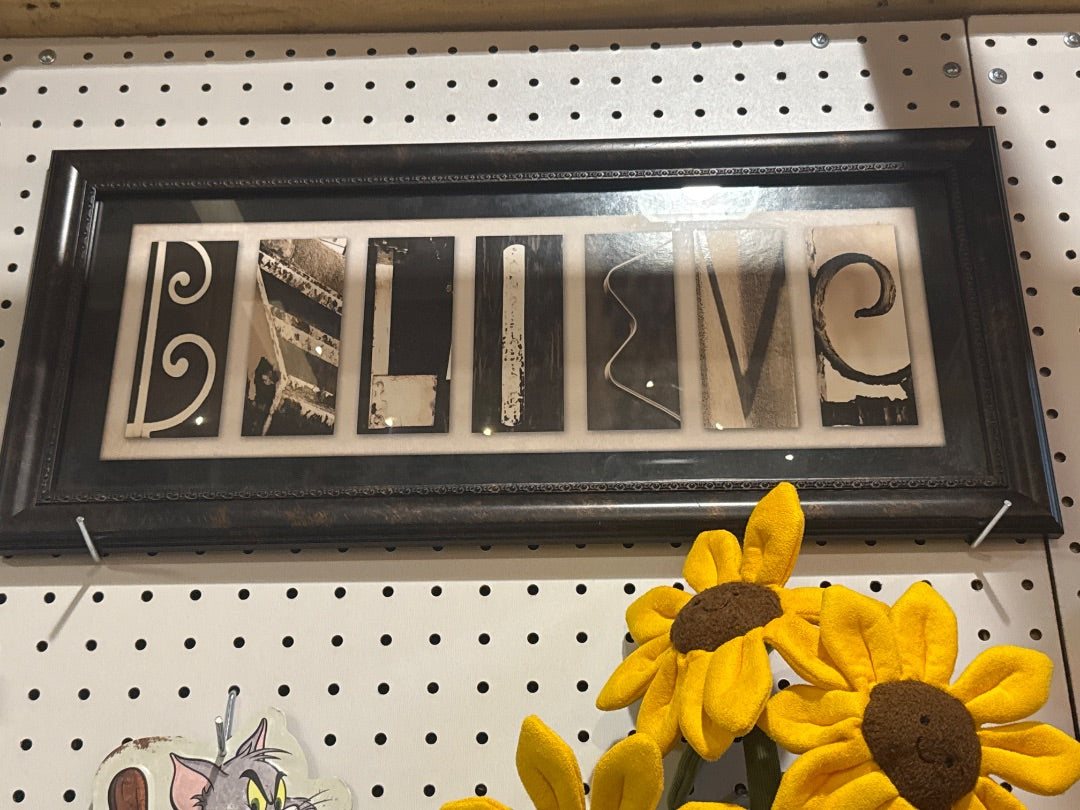 “Believe” Photograph Sign