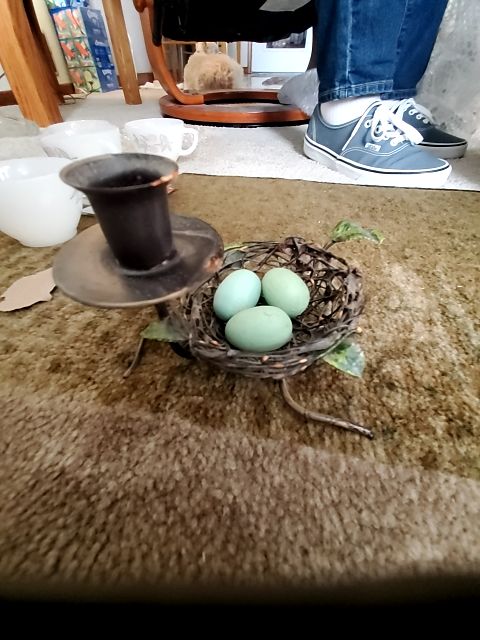 Candle stick robin nest