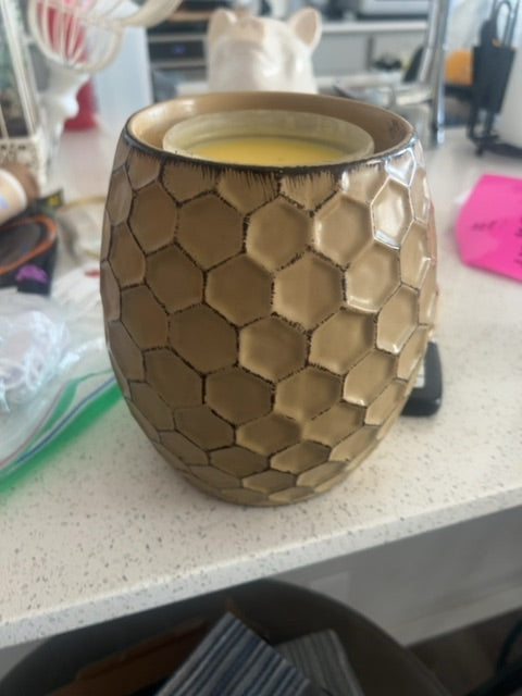 Gold canyon candle warmer