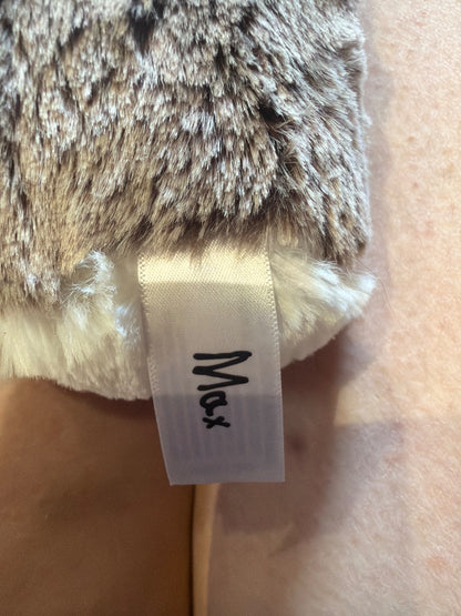 Aurora Max the Hedgehog