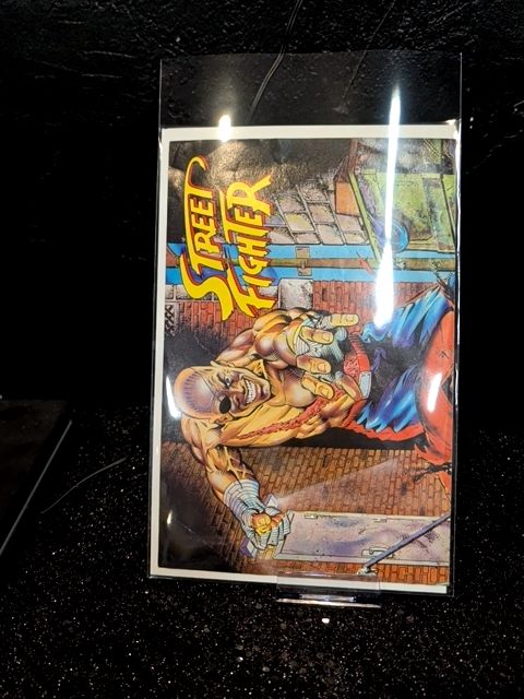 Street Fighter Poster