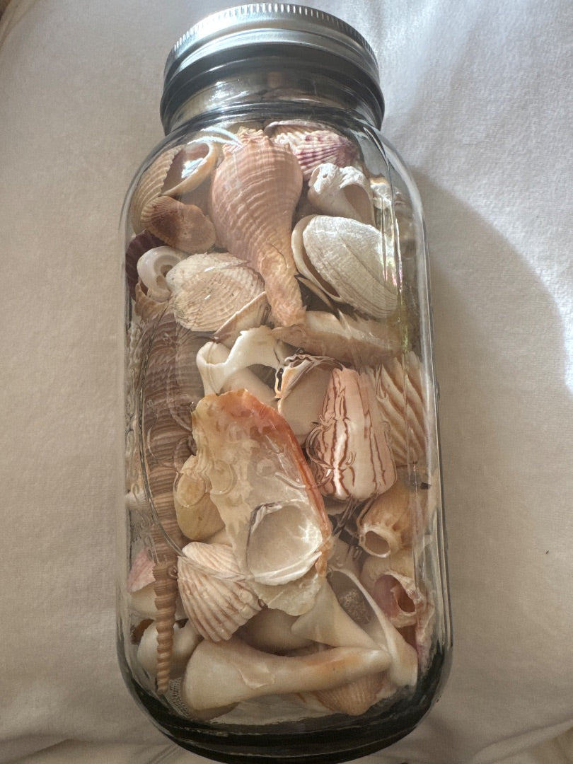Shells in ball glass