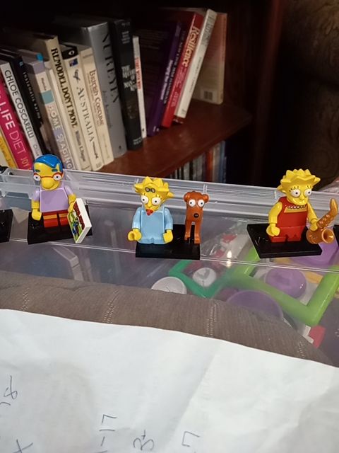 Lego Lisa with dog complete Minifigure