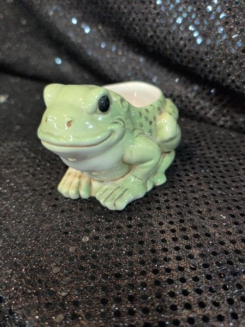 Frog Mini Planter
