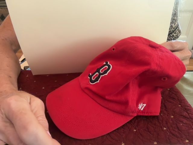 Red 47 Brand Boston Red Sox Fenway Park Hat, Toddler