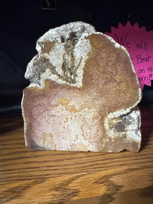 Chicos Petrified wood