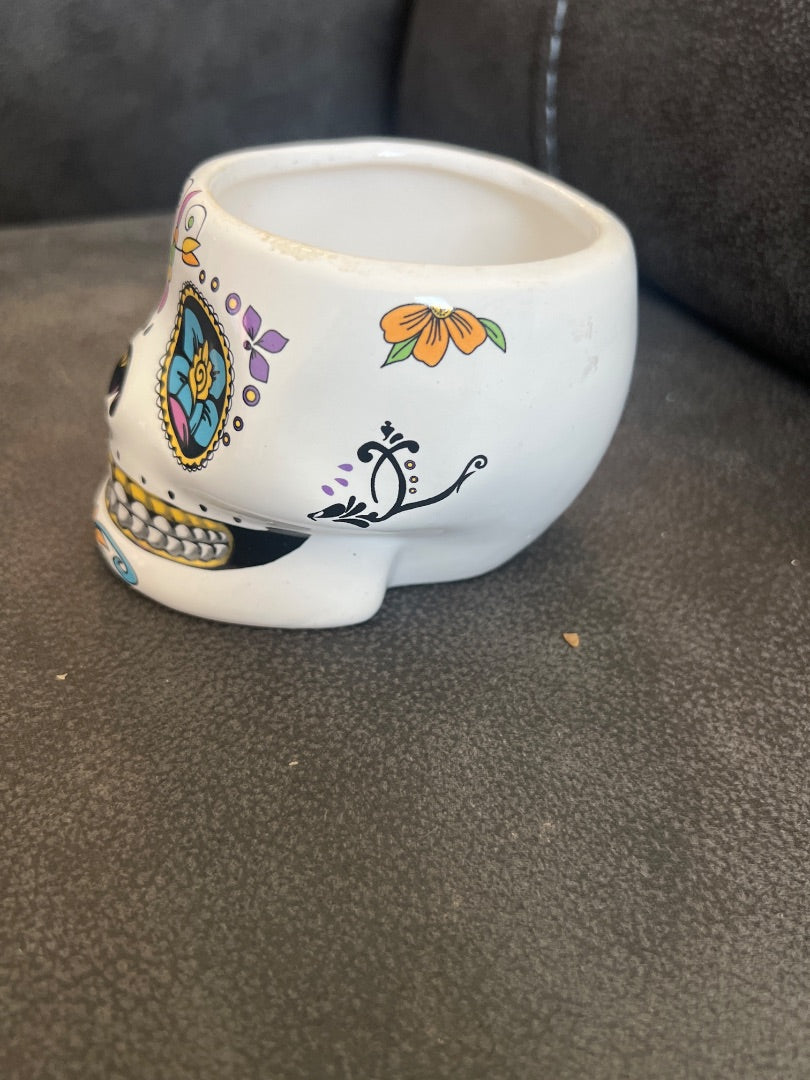Calavera Plant Holder