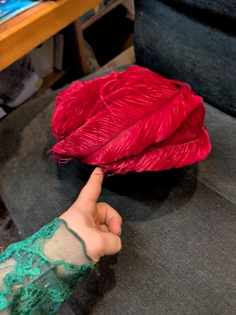 Red Feather Vintage Hat