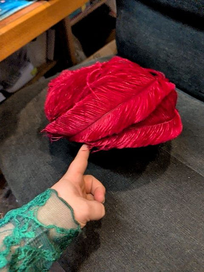 Red Feather Vintage Hat