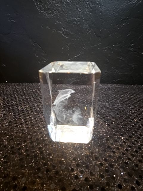 Vintage Hologram Dolphin Paper Weight