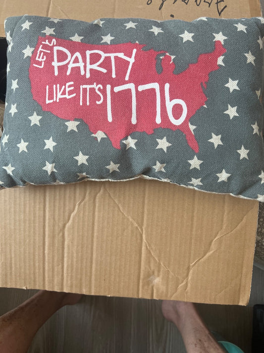 Let’s party pillow