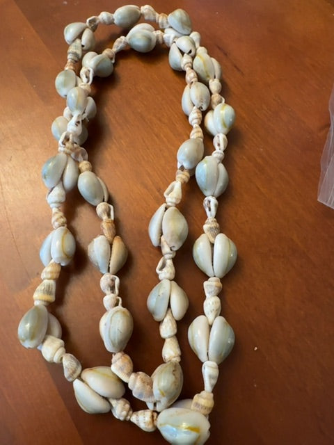 Seashell necklace