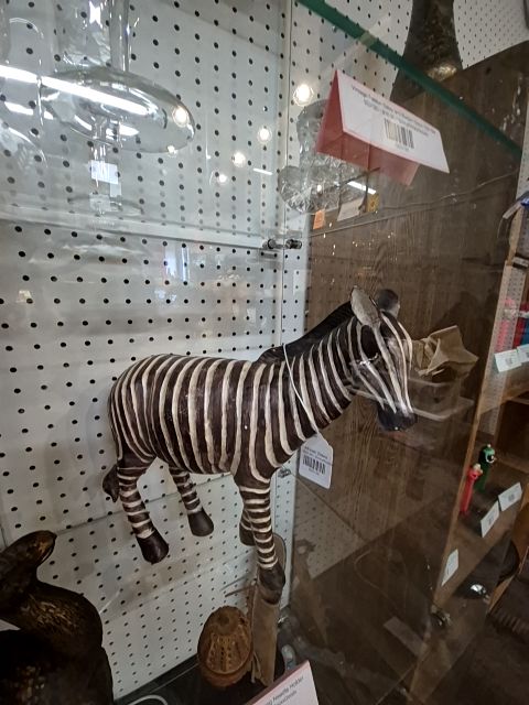 African Zebra
