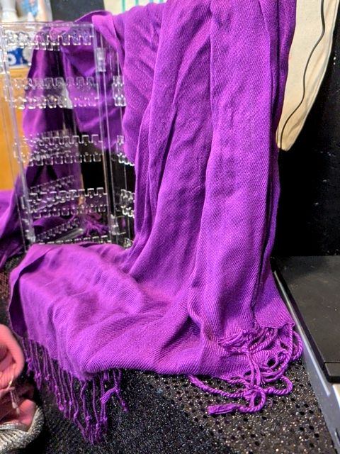 Purple Scarf
