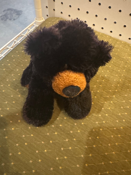 Aurora Black Bear Mini-Flopsy