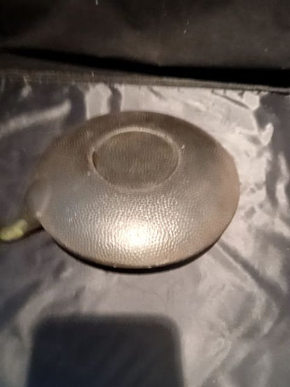 Asian cast iron tea pot pre owned