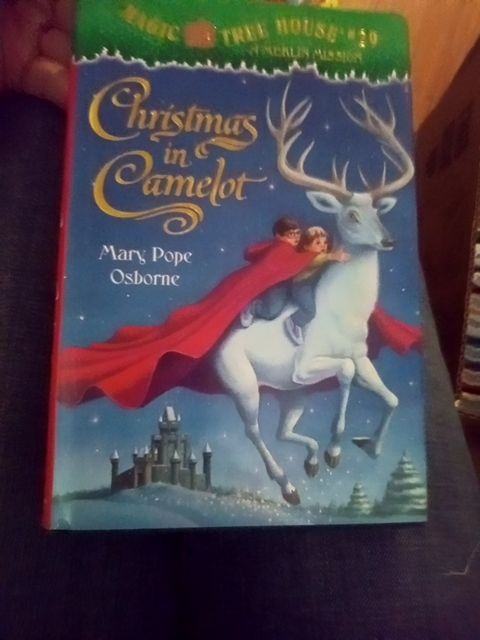 Magic tree house Christmas book