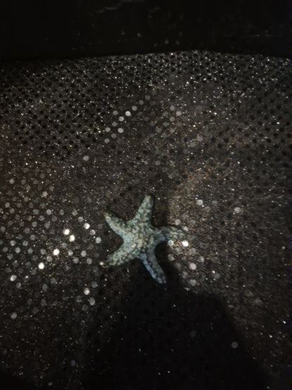 Metal Starfish, 2.25"