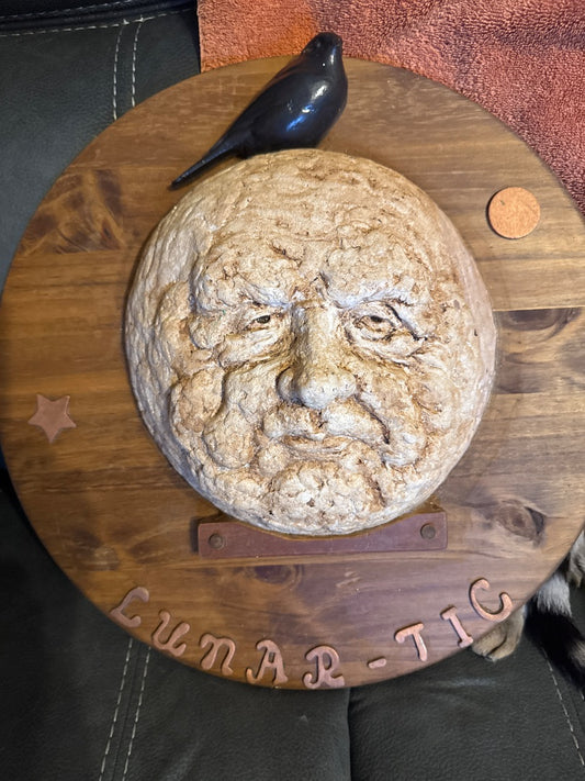 “Lunar-Tic” Handmade Wall Art