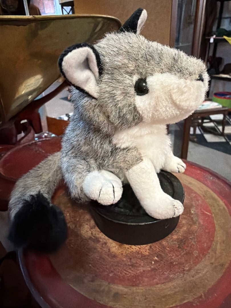 Folkman's Mini Timber Wolf