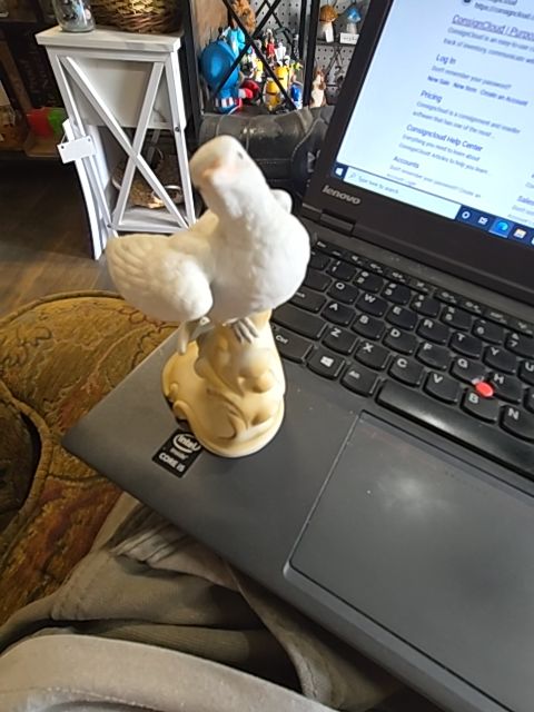 White China Numbered china dove piece