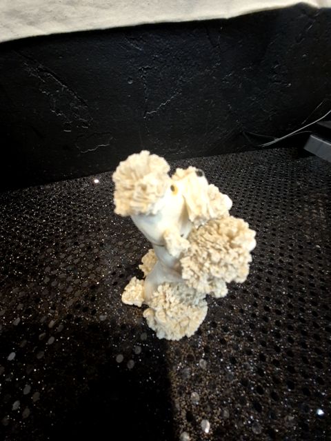 White Vintage Porcelain Spagetti Poodle, 2.5" × 2.5" × 3.25"